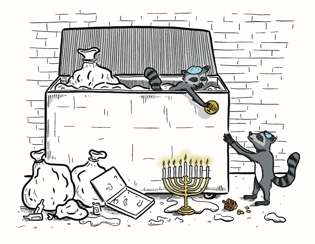 Raccoon Hanukkah